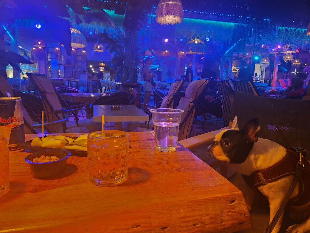 Kos'ta Uniq Beach Yunan Gecesi