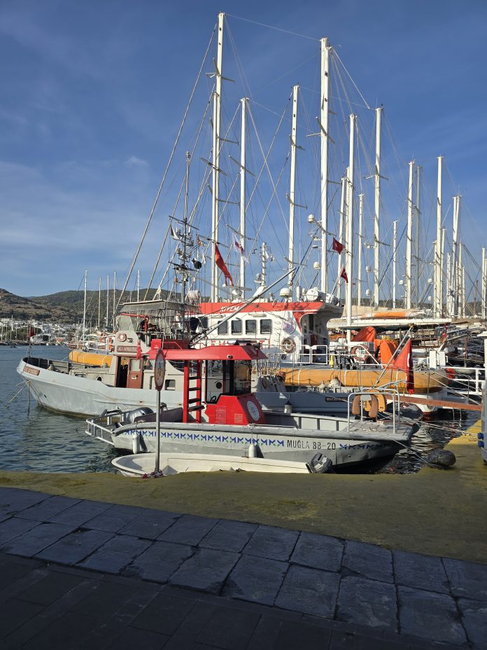 Hair Transplant in Bodrum.