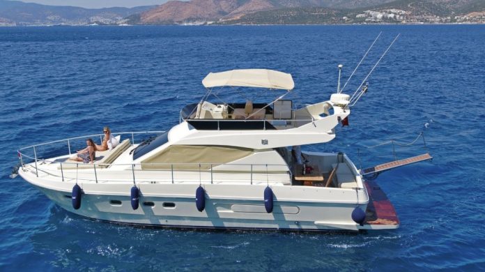 daily and weekly charters