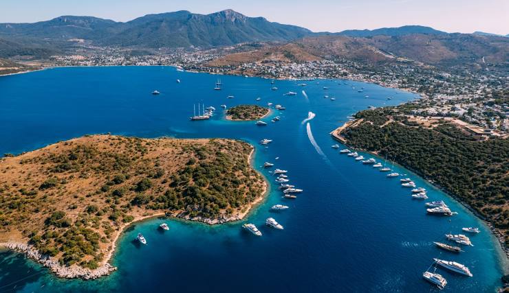 Indulge in Culinary Excellence