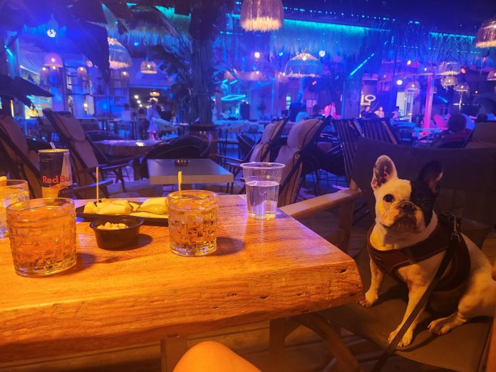 Uniq Beach Greek Night in Kos