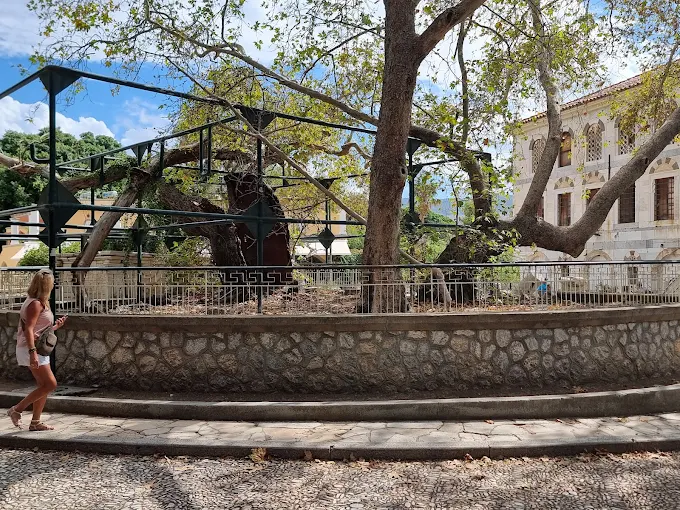 Hippocrates' Plane Tree of Kos