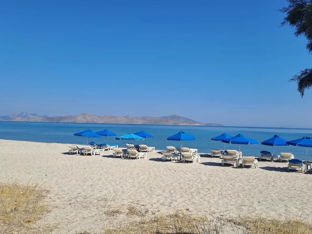 Zorbas Beach Hotel Kos