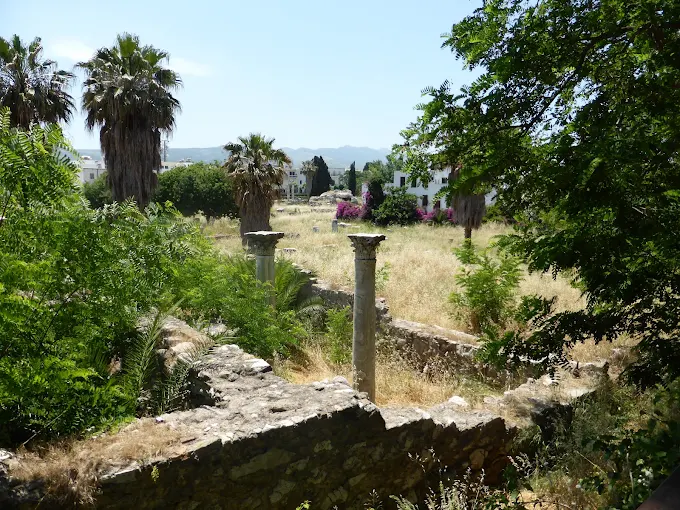 The Altar of Dionysus Kos