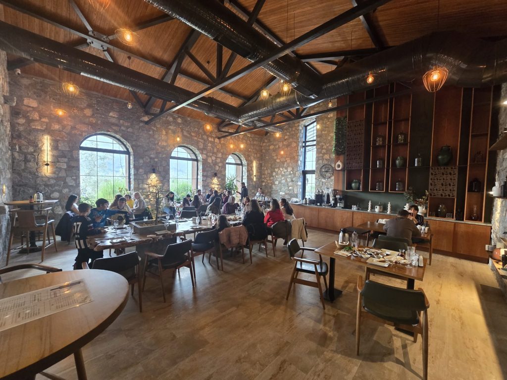 Award-Winning Olive Oil from Milas