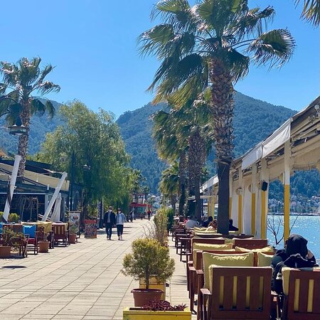 Micro Fue Turkey Fethiye